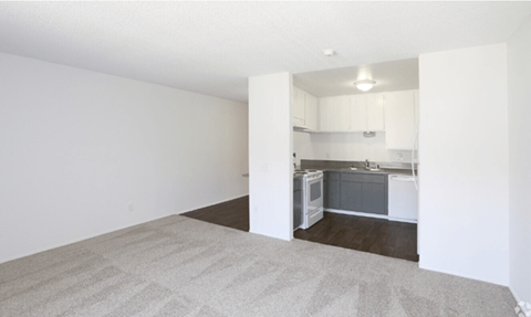 Floor plan for studio, 1 bath, 586 sqft